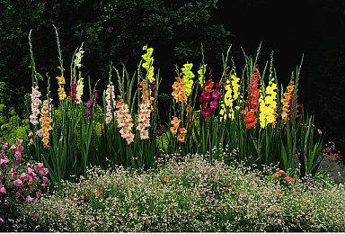 潜行恐怖解密游戏《地狱之种：全章节》现已在Steam平台正式推出